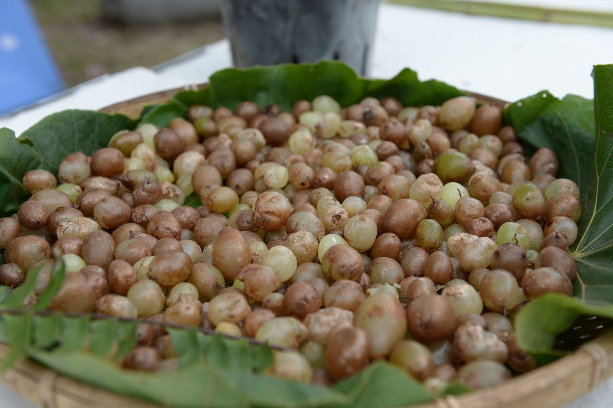 NIK_3495