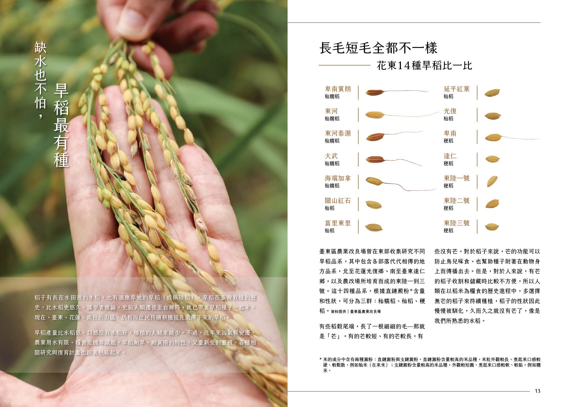 La gente di Taitung protegge i semi: nella tasca della mamma Jinjiao si nasconde molto
