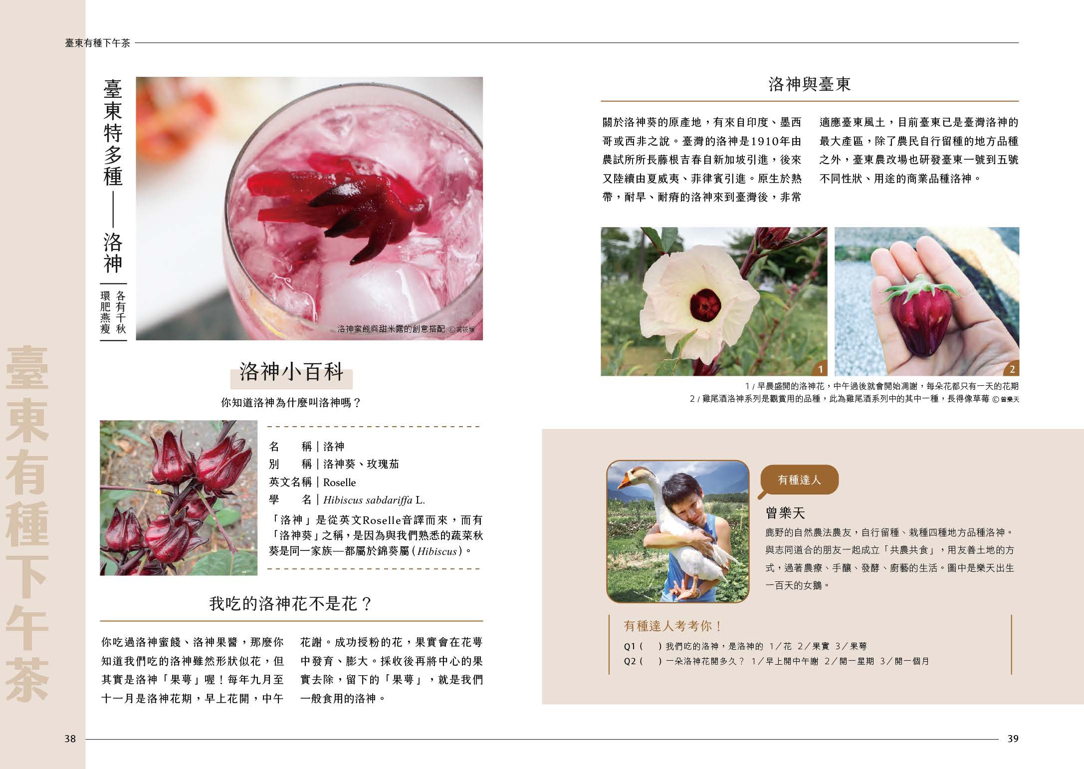 «Afternoon tea» a Taitung