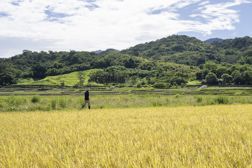 04enviro_dsc1350
