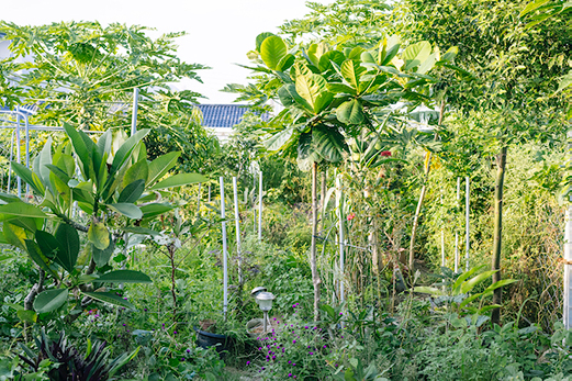04enviro_dsc8723