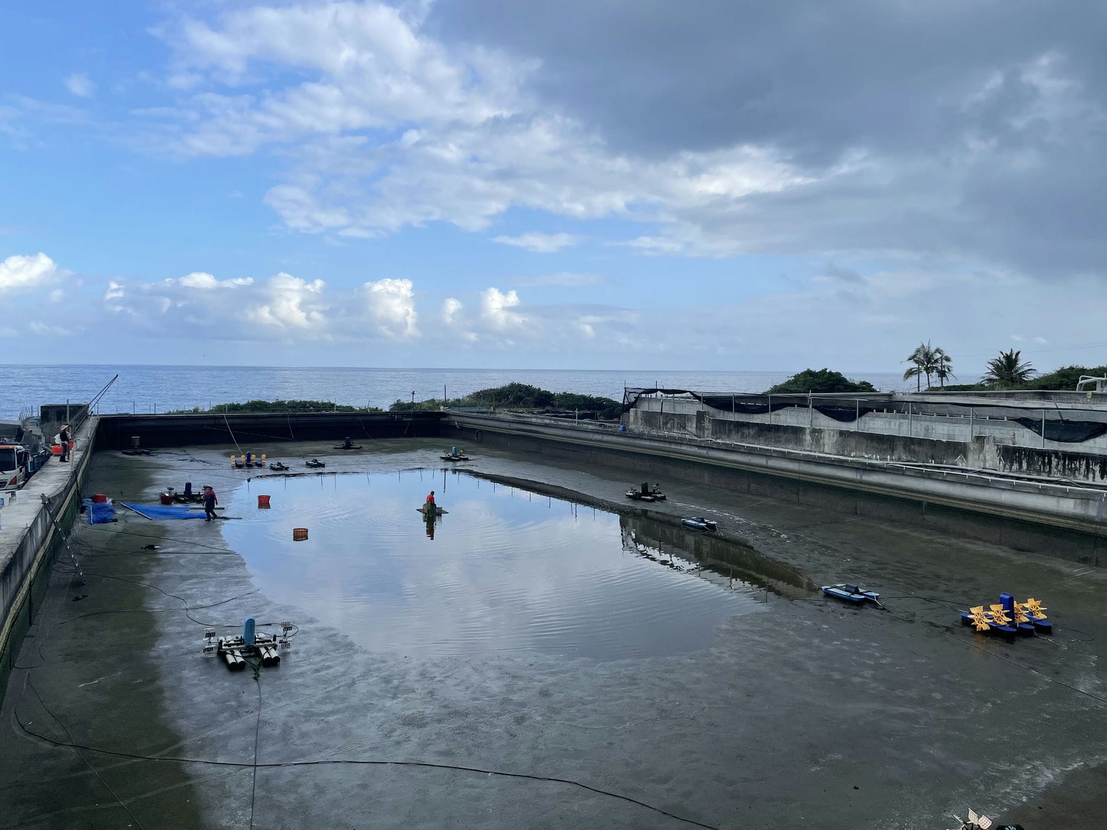 白蝦大約養殖半年可收成。撈起白蝦後，池水從中央的排水口流回大海，接著就要清潔池面、曬池。