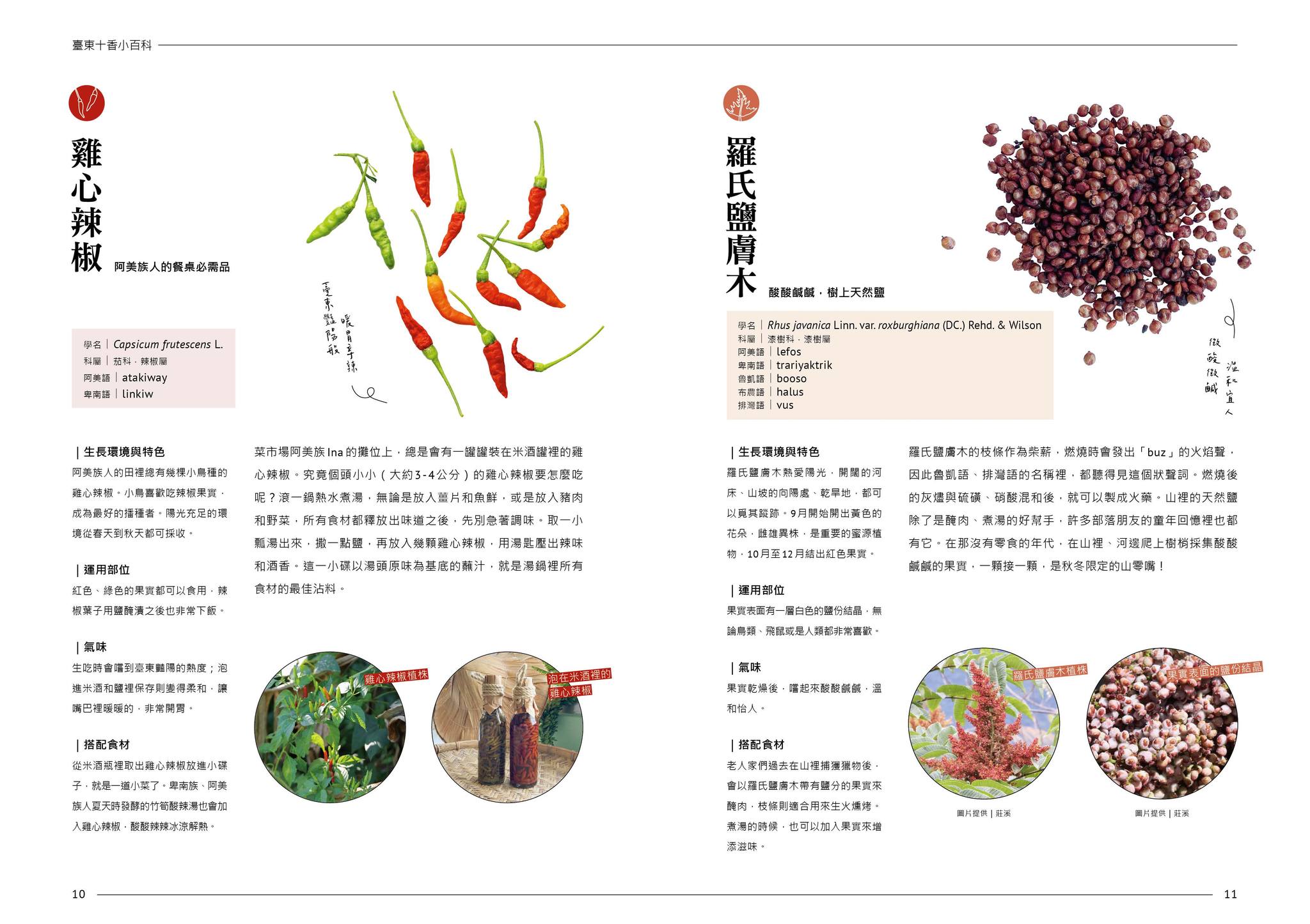 《La piccola enciclopedia delle erbe di Taitung》 – scopri le 10 erbe più importanti di Taitung e diventa anche tu un esperto di erbe!						