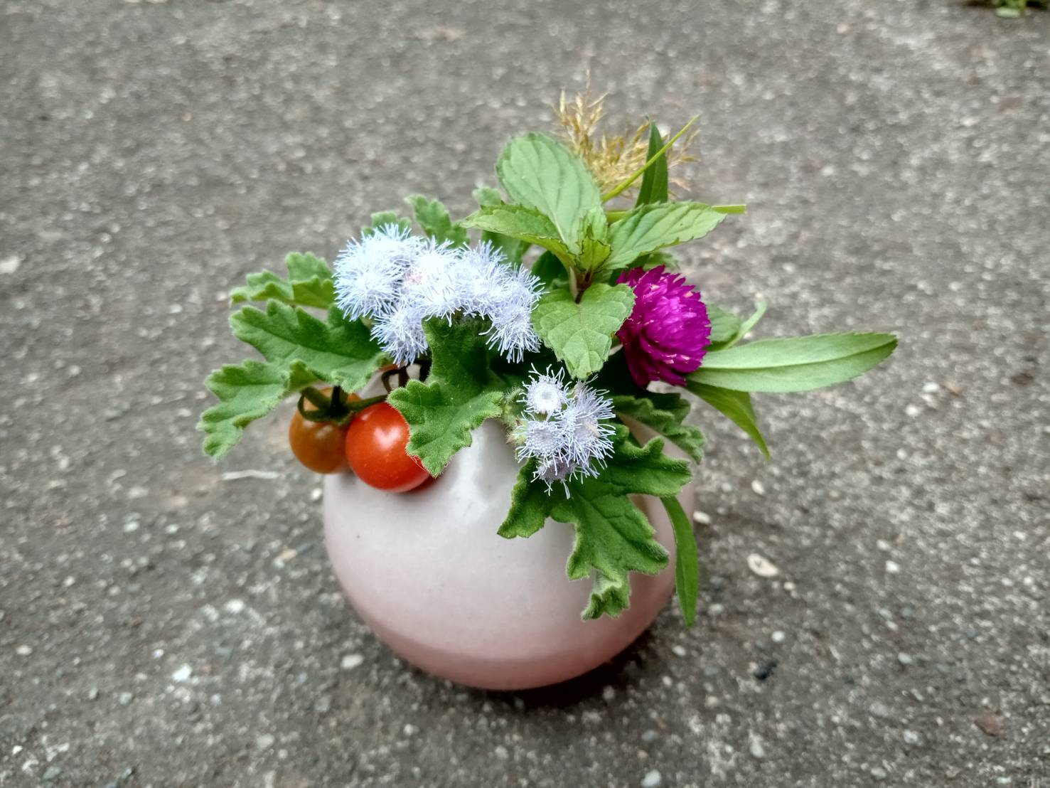 田裡的香草、野花野草，化身為餐桌上的桌花。