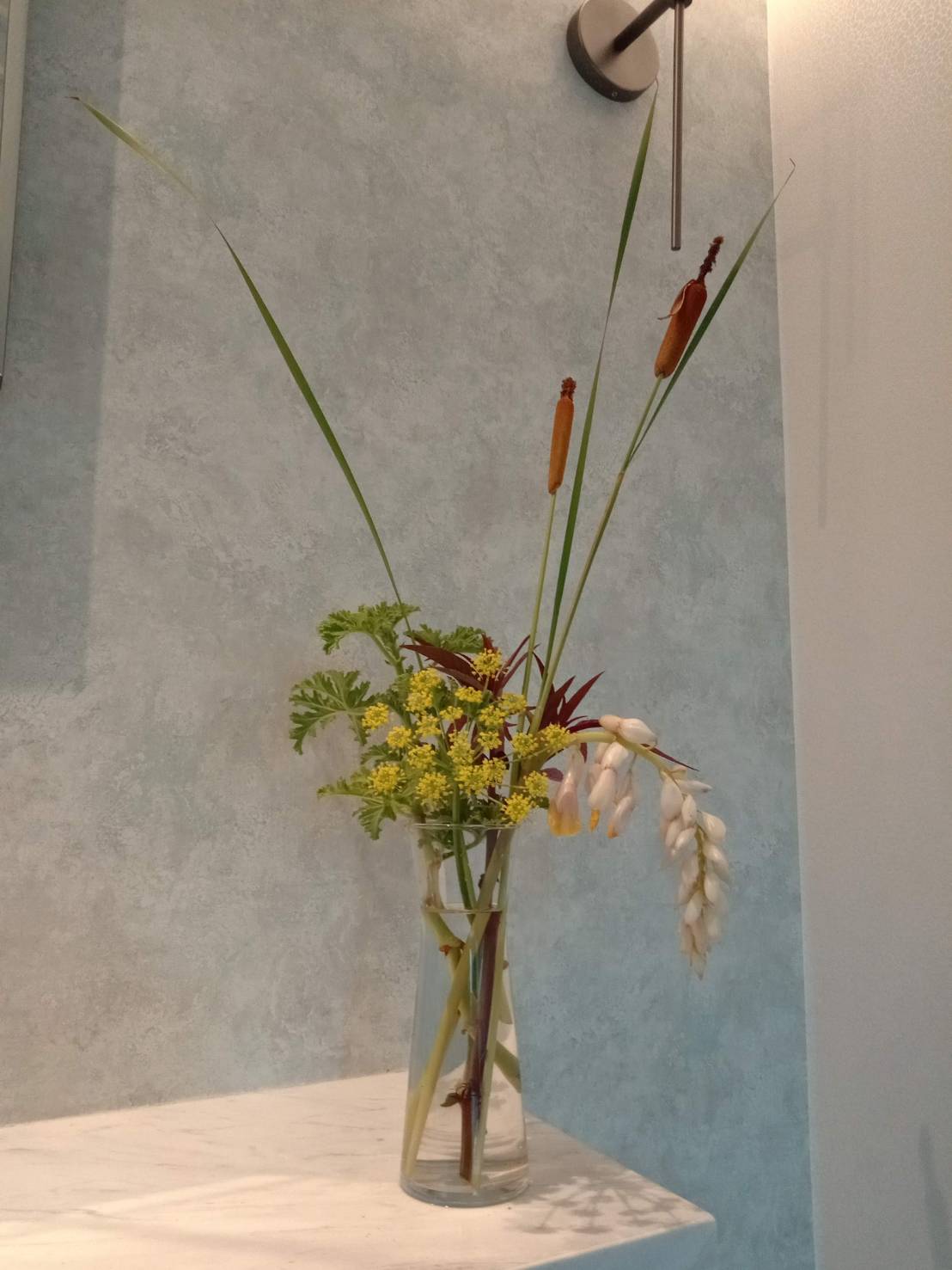 玫瑰天竺葵、結頭茴香、紅花青葙、月桃花、香蒲。