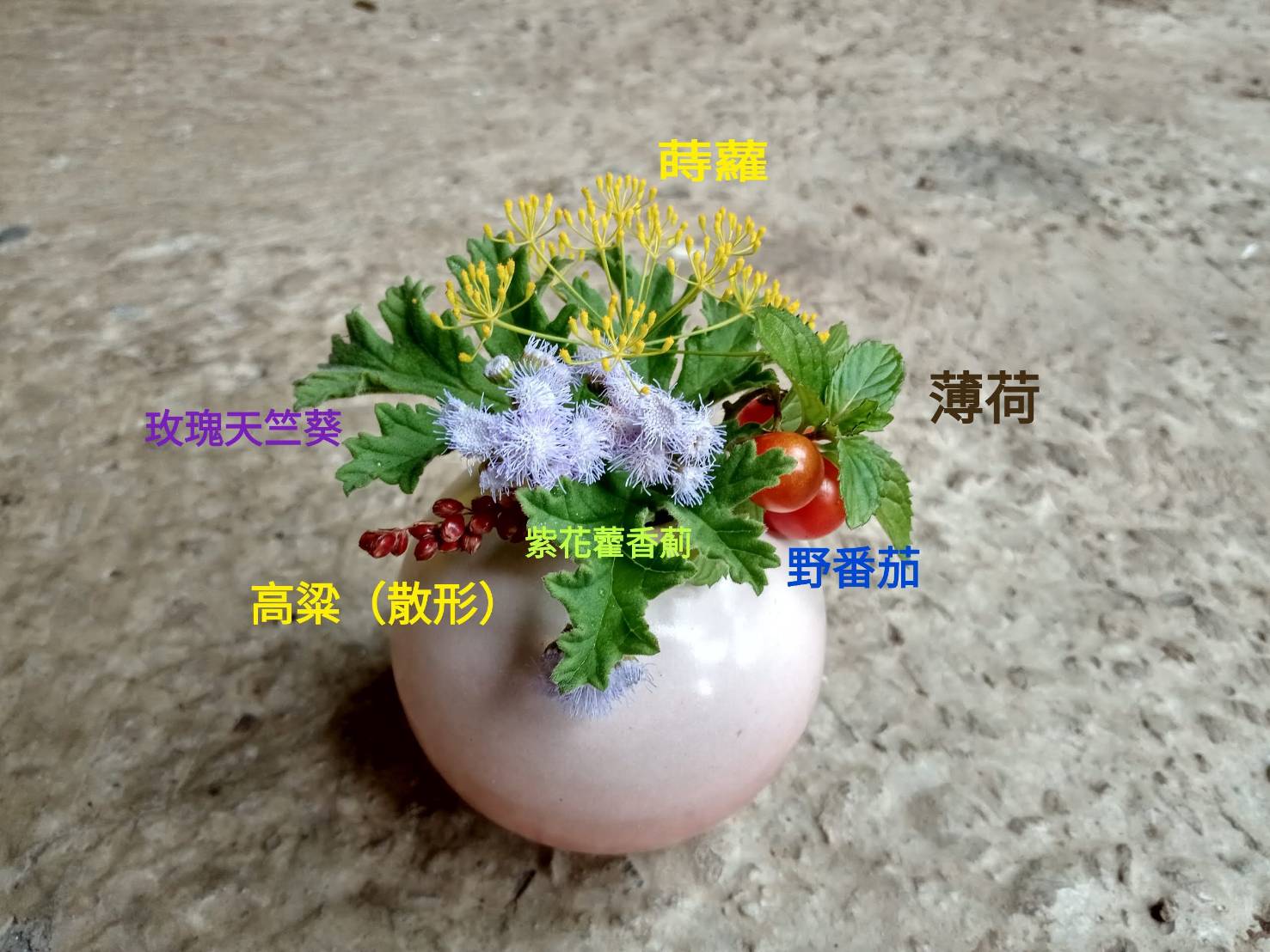 珮芳將每一盆桌花中的植物名字標註好一併提供給餐廳，讓外場服務人員可以介紹給客人。很多人勾起兒時回憶，也很多人才發現台灣野花草是那麽豐富美麗。