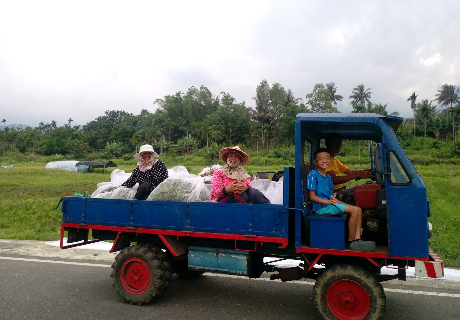 登庸開著年逾60歲的骨董鐵牛車，副駕坐著小兒子李蔚，和部落媽媽們一起採左手香。