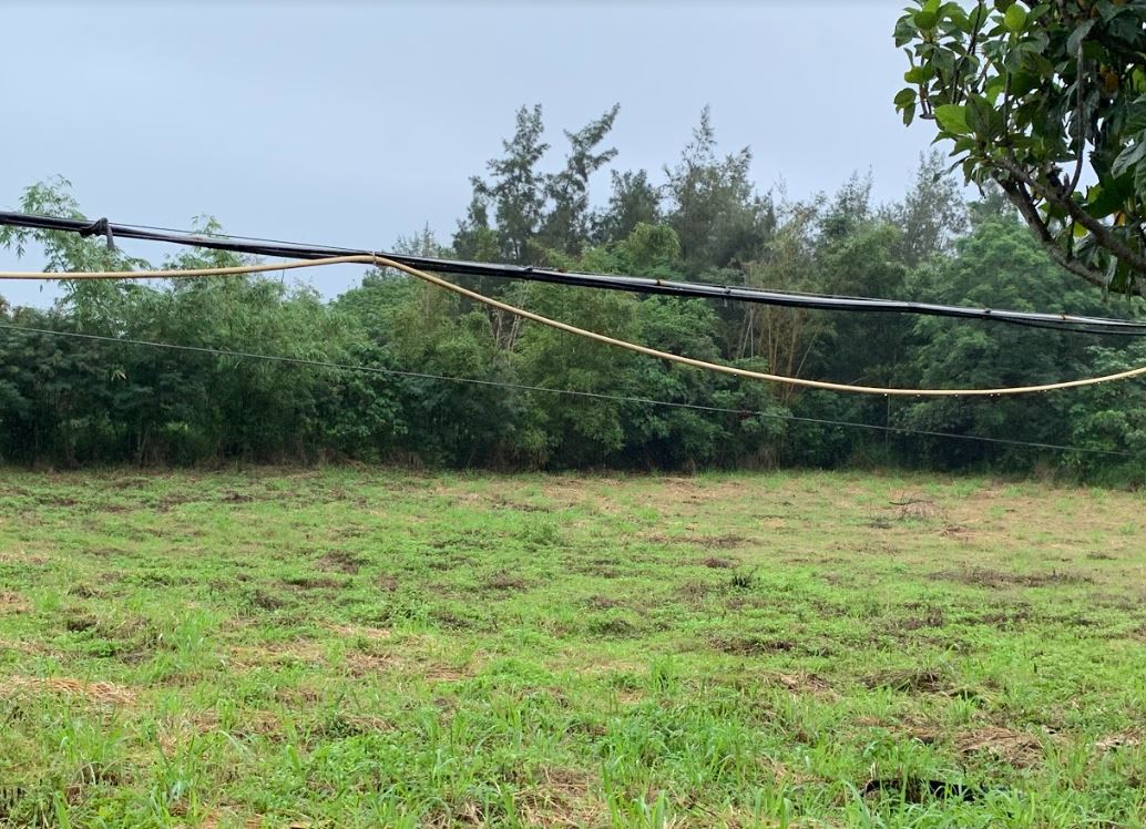 等待梅雨季過後，即將翻耕整地，種植花生。