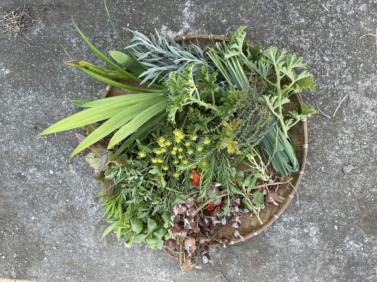 田裡一年四季都有著不同的新鮮香草植物，是鄰近法式餐廳主廚的靈感後花園。
