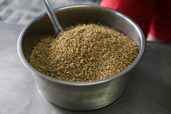 7. 豆腐乳的關鍵食材「米麴」，吳媽媽長期都是跟宜蘭做自然發酵米麴的店家訂購。這間店只有每年端午節過後才會做米麴，一年一次，時間過了也訂不到。 米麴買回家之後，要先用清水沖洗掉表面的灰塵，再曝曬至乾燥。