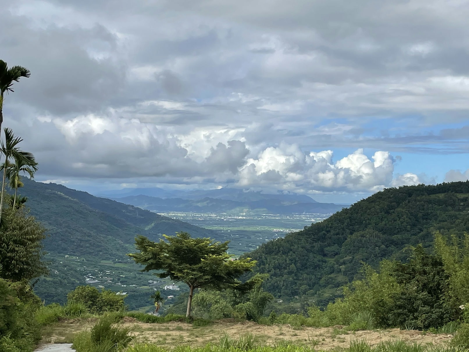海拔450公尺，台東源新椿農莊的自然風景，遠眺都蘭山與太平洋。