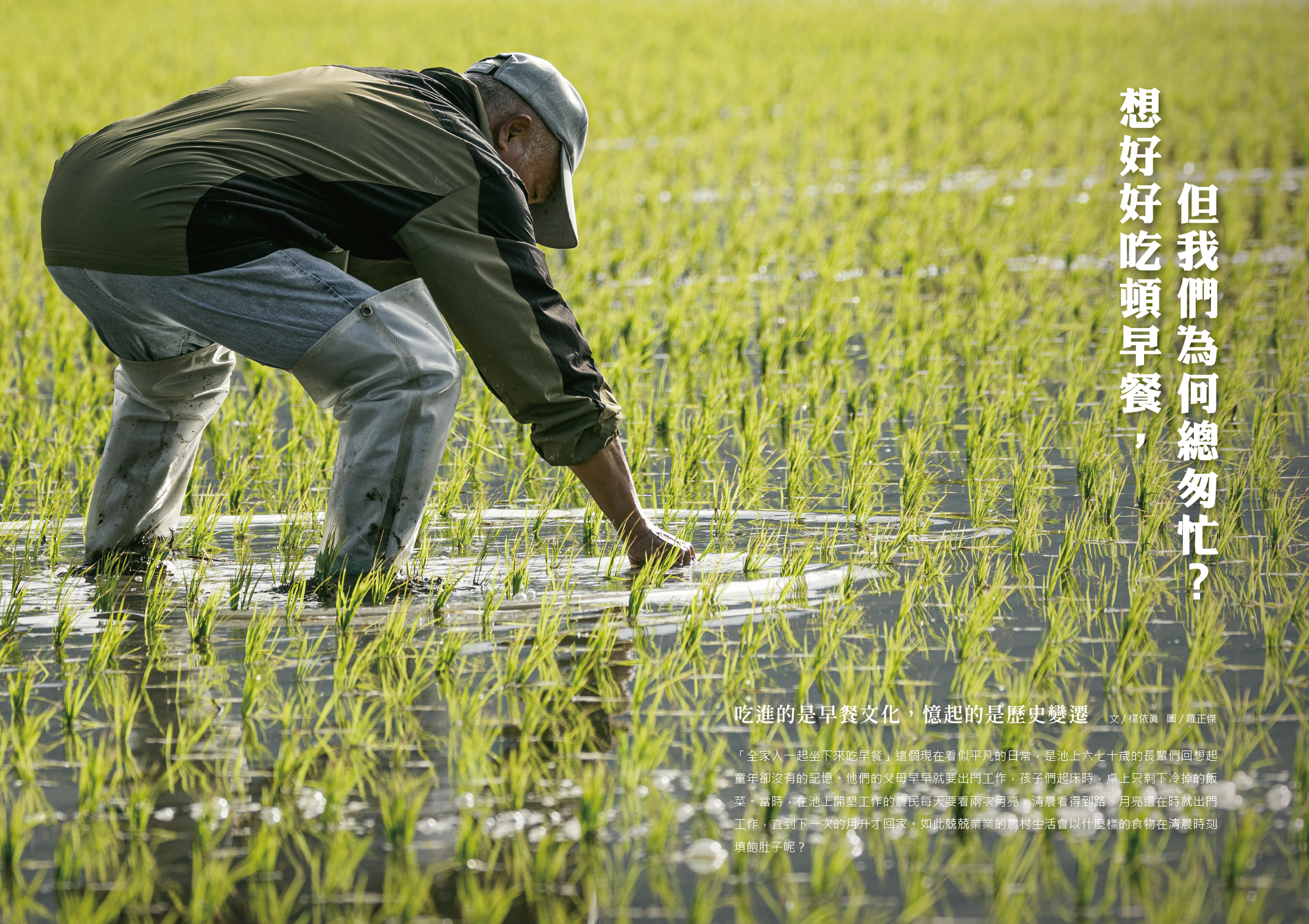 Il tempo della colazione in ogni angolo di Taitung						