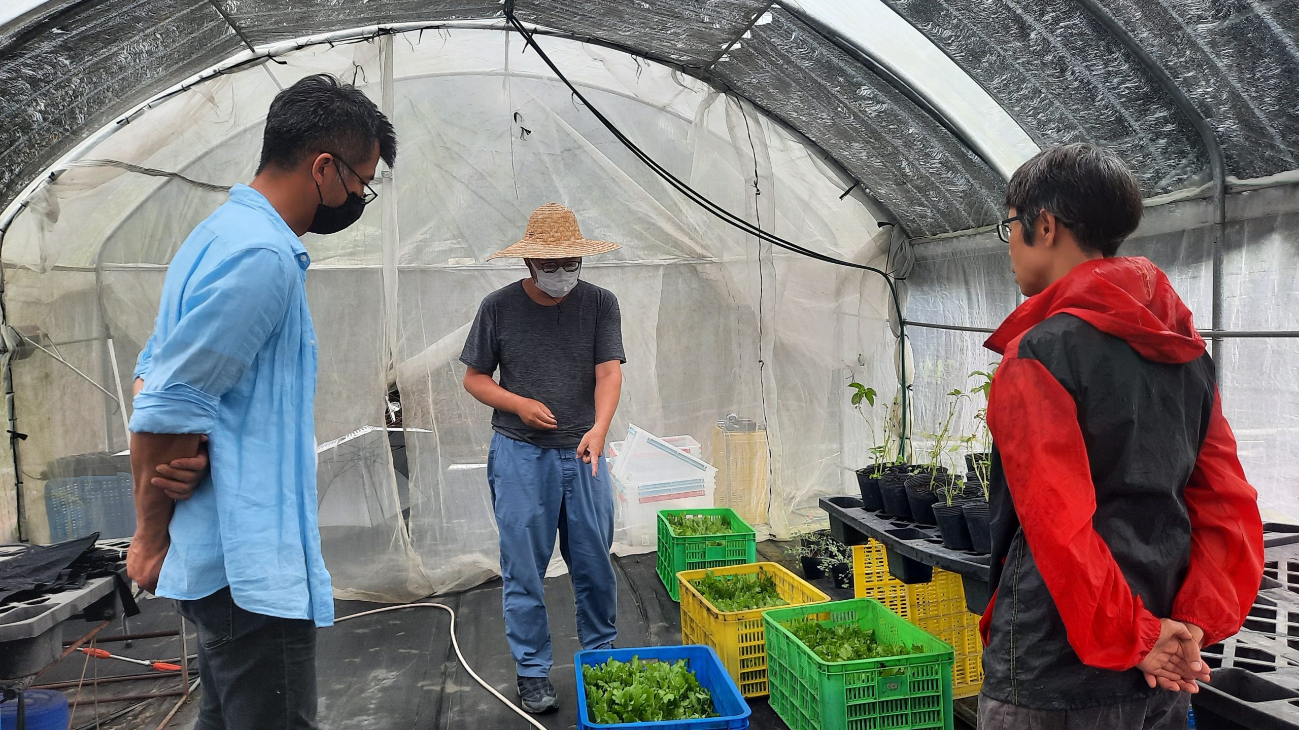 高經理親自向店家介紹育苗的流程