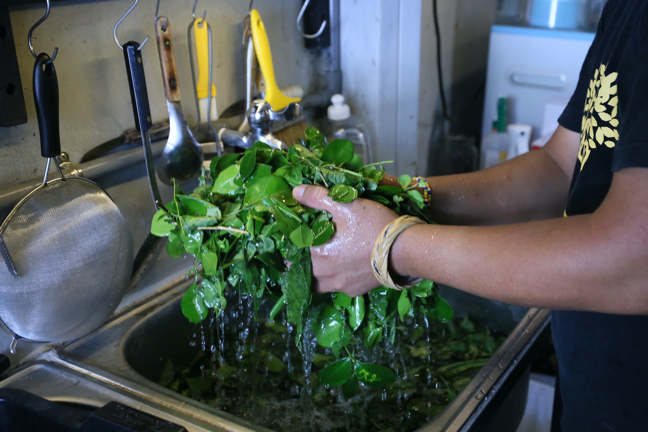 3.	流水清洗植物