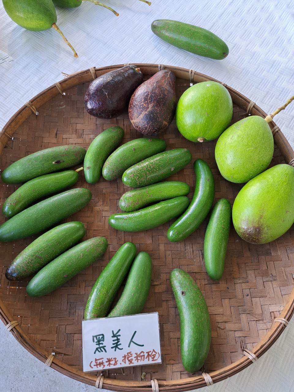 不同品種的酪梨