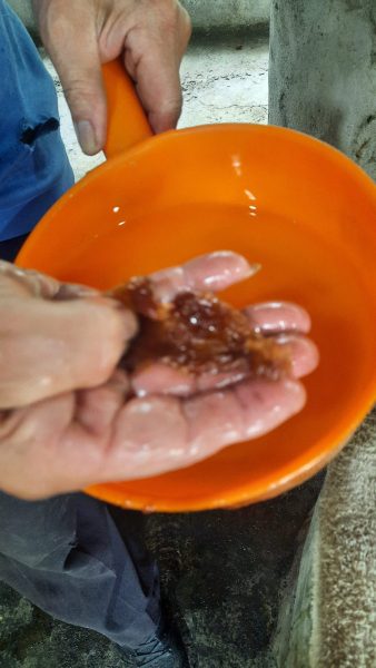 蔗汁煮至楬色糖漿泡水判斷起鍋時機