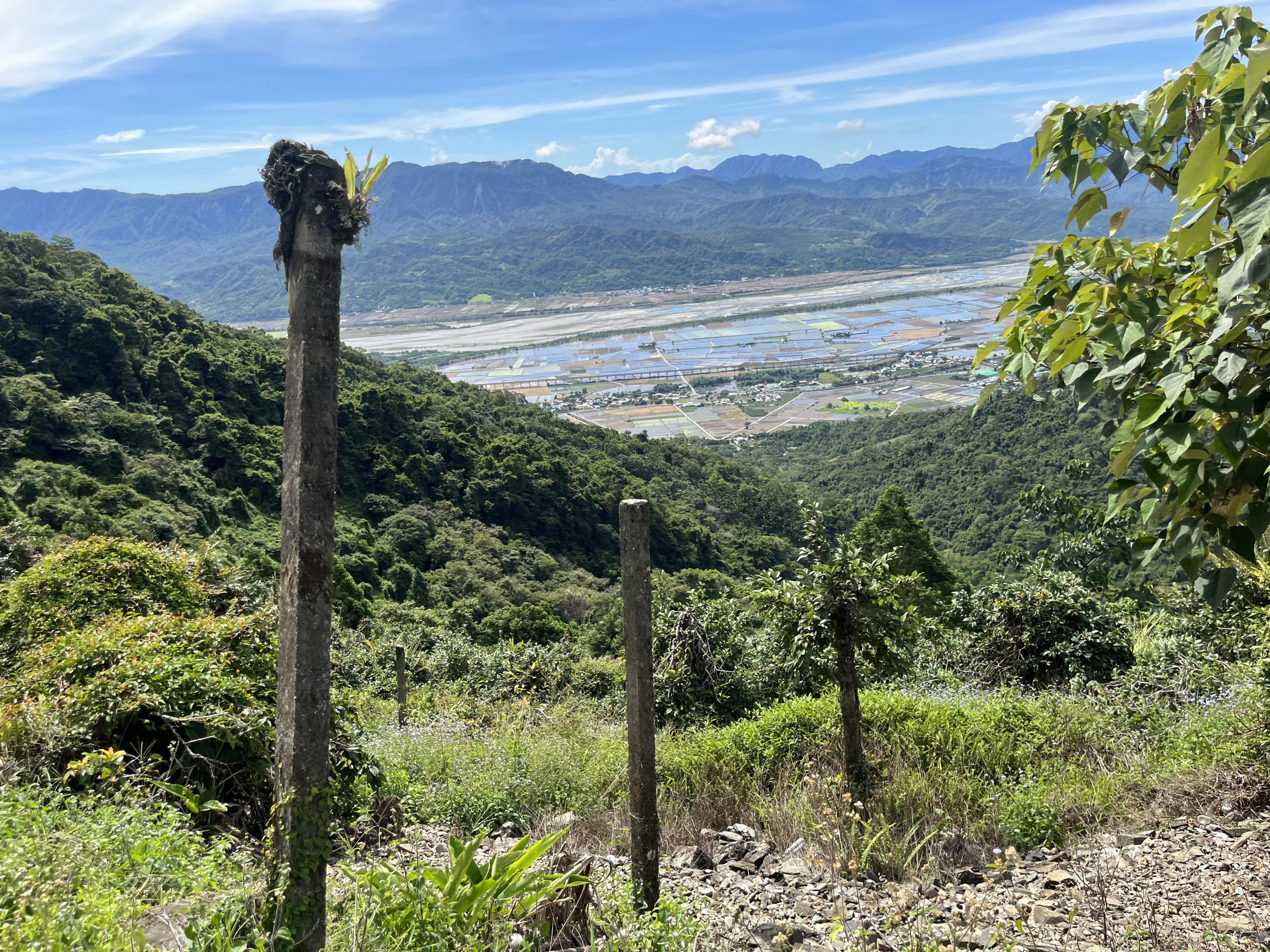 沿途發現的3米高水泥柱。