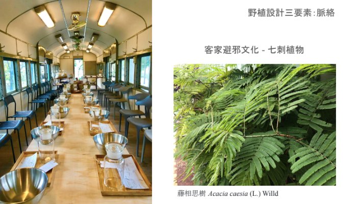 ❷ #脈絡：認識植物的文化跟地方性。 ​ 在橫山合興車站推廣計畫中，三玉號從耆老訪談整理出早期橫山客家人入山工作會使用的野植及脈絡，設計成遊程和產品。 ​ #藤相思樹 是橫山客家人在避邪除煞上的最常用植物，民間相信其莖葉亦能驅魅避邪，所以在遊程內加入在地野植香料與海鹽，做成草本淨化海鹽，延續過去的文化意涵，也讓從前的民俗植物成了現代生活裡常見的素材，更成為橫山旅行中別緻的伴手禮。