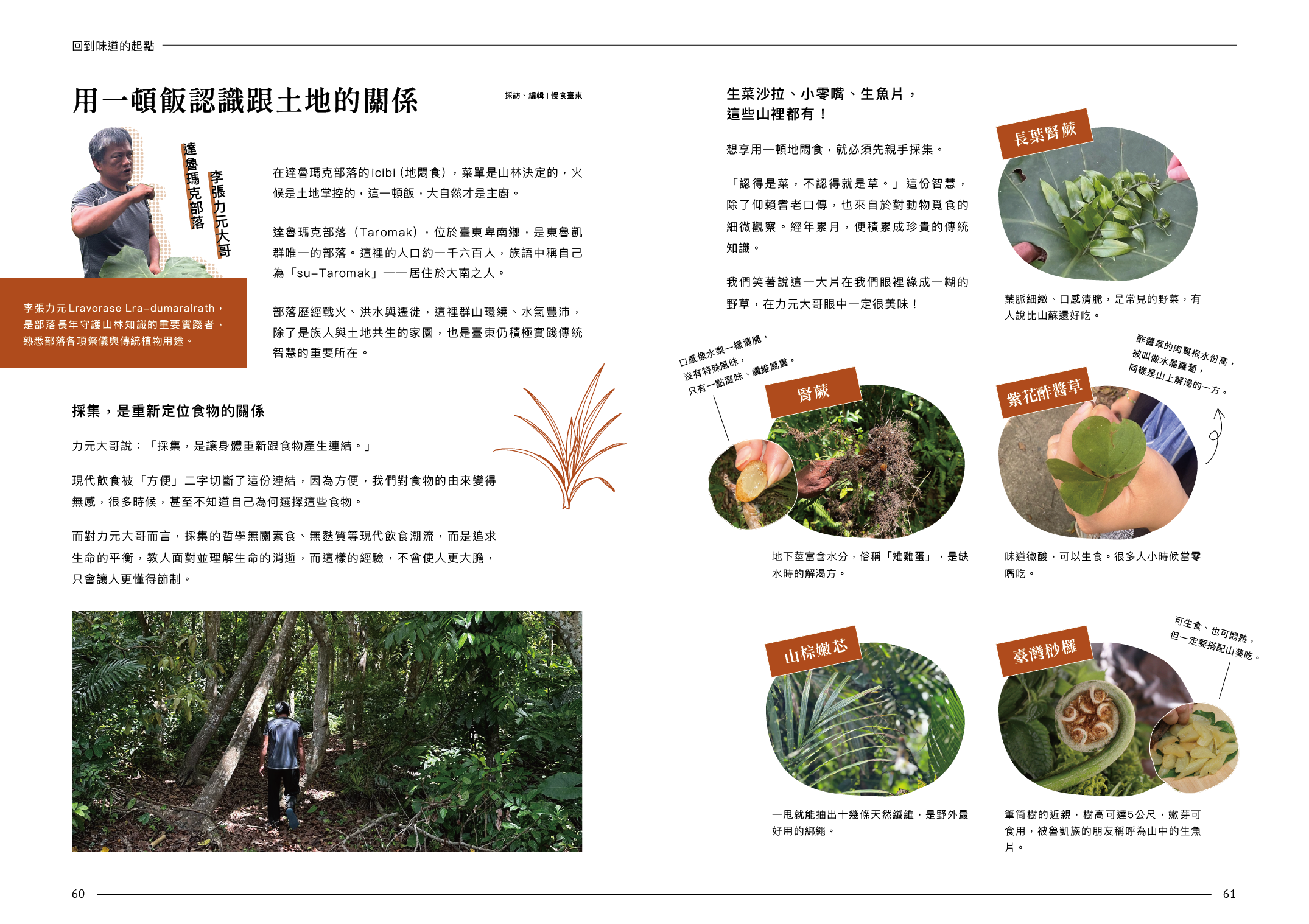 四則採集小故事