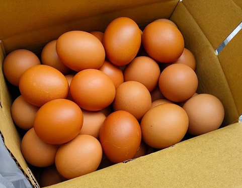 Dairy and Eggs in Taitung