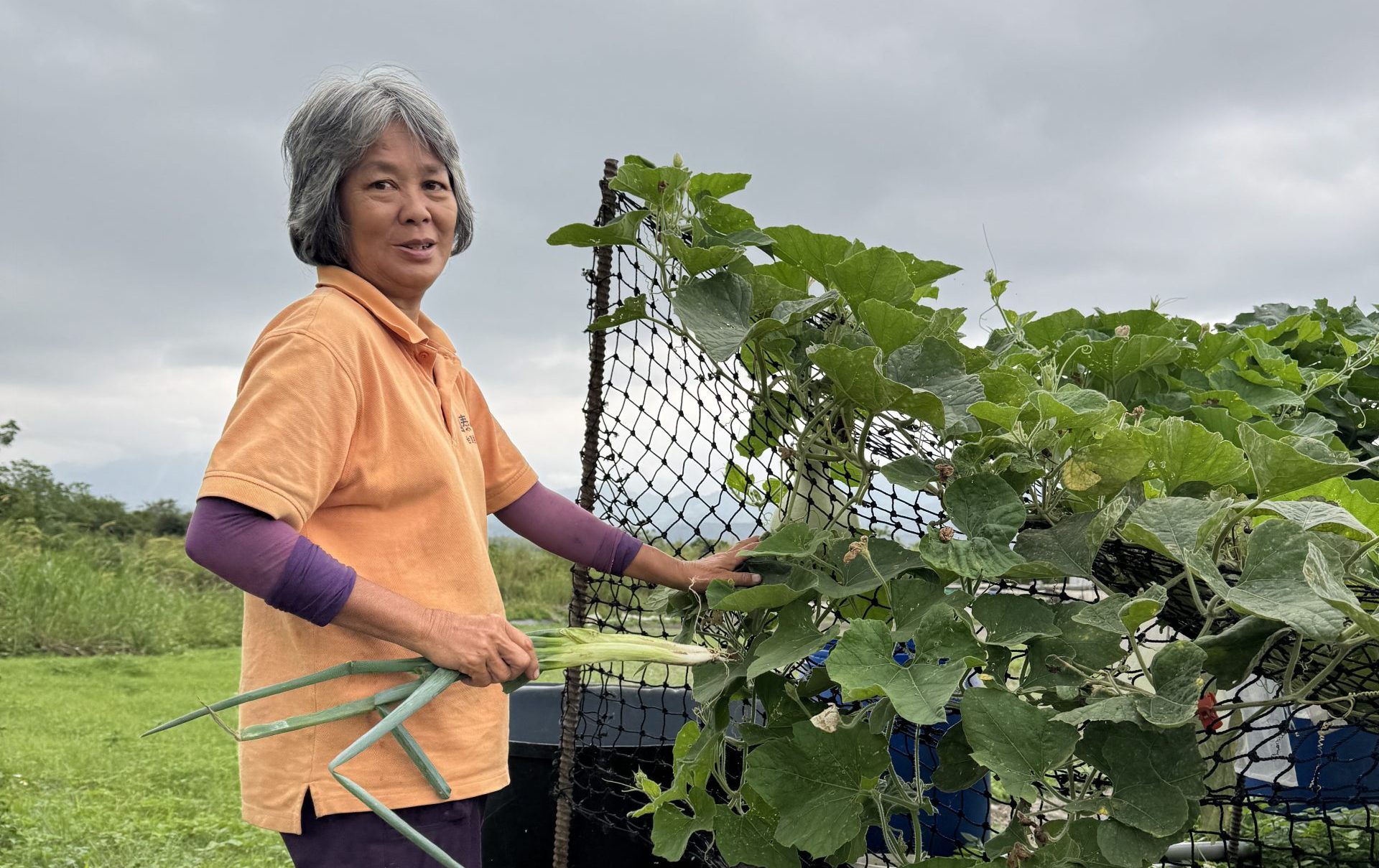 種自己也願意吃的菜，一種不追求產量的選擇：田緣友善生菜農場