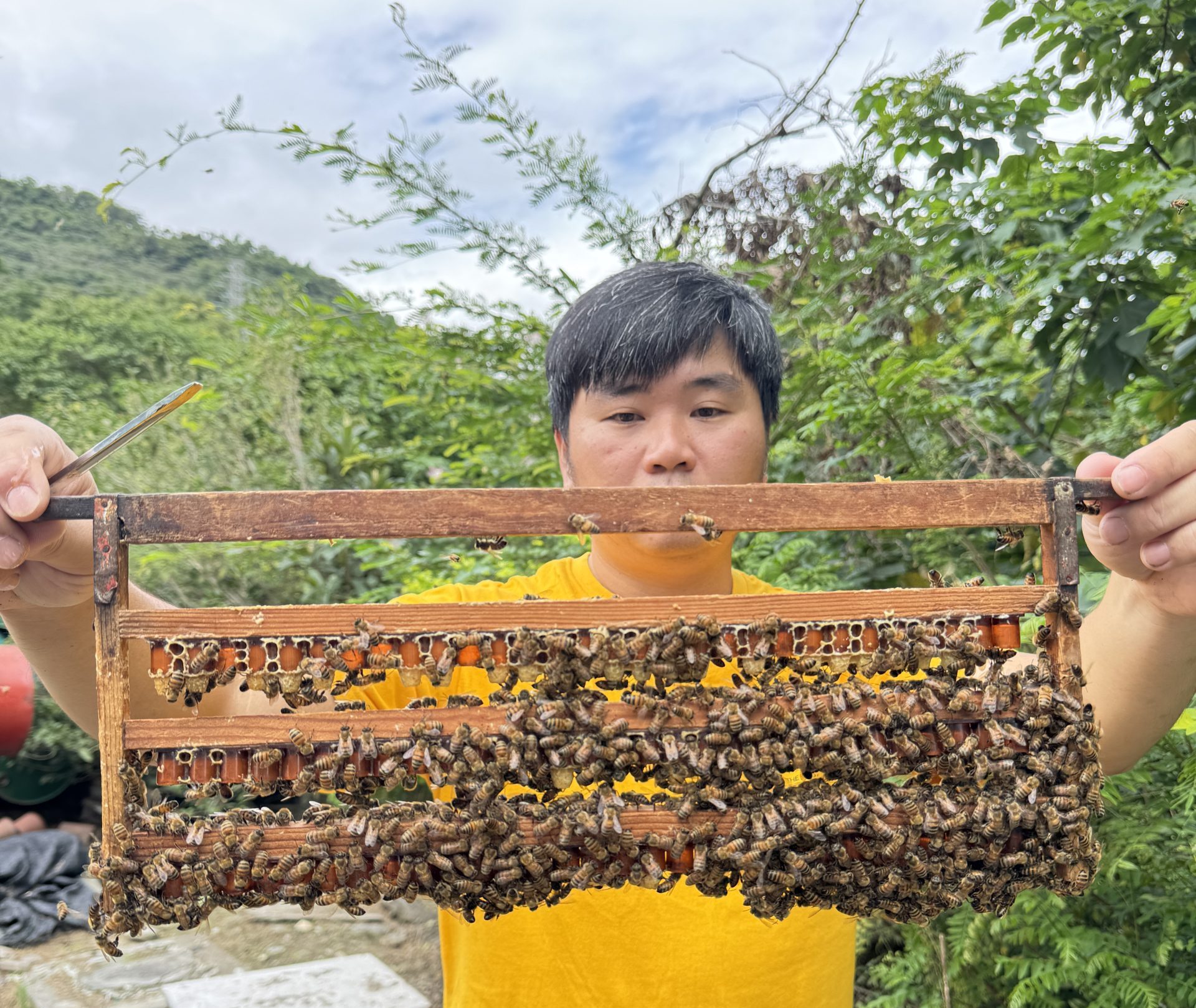 如今蜂場已由第二代老闆杰憲接手，蜜蜂也是由父親當初飼養的蜂群持續世代輪替至今。