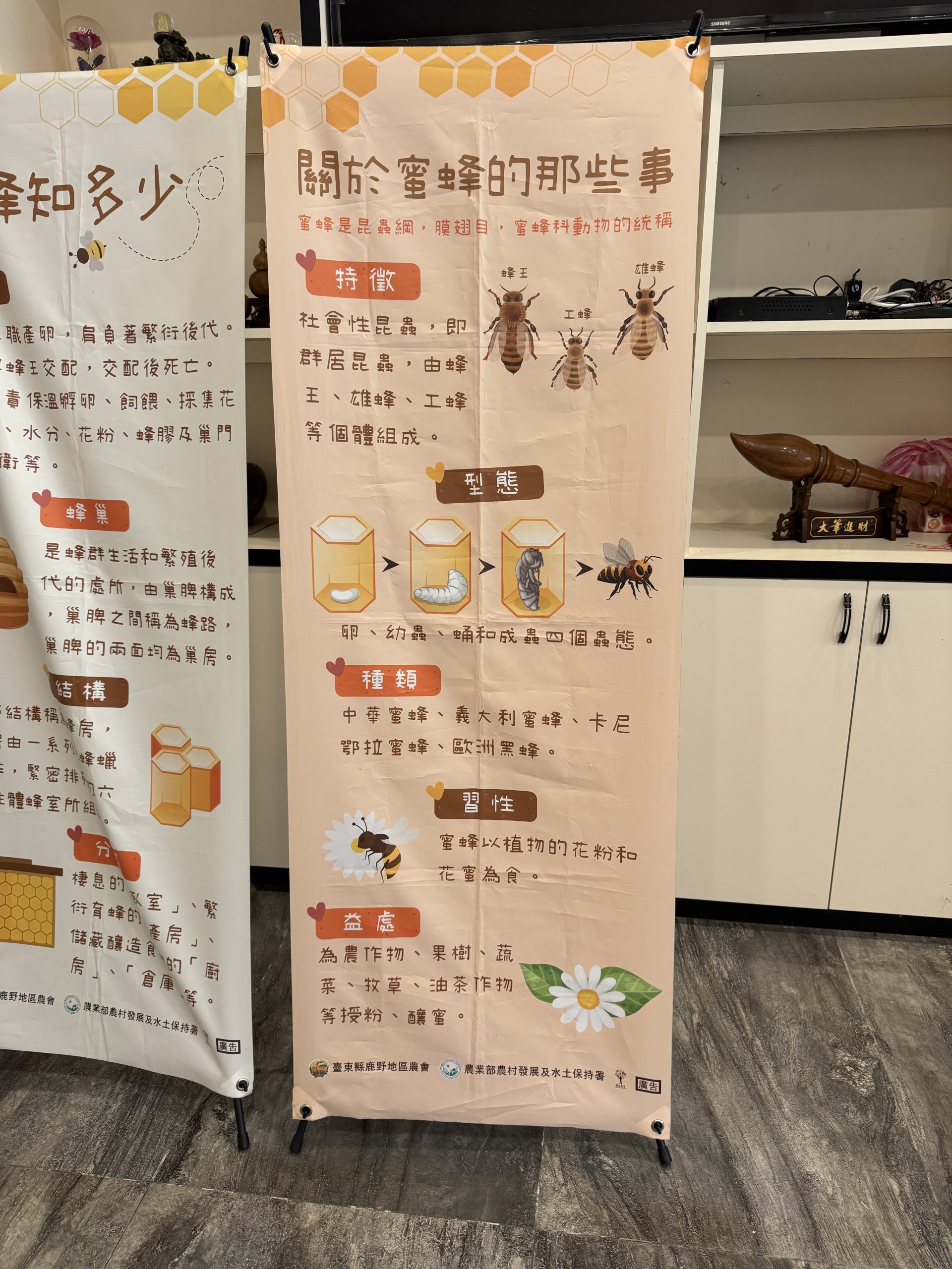 除了販售蜂蜜，蜂場也推出蜂農體驗活動: 蜂蜜採收體驗、蜜蜂生態導覽、蜂蠟紫草膏製作。