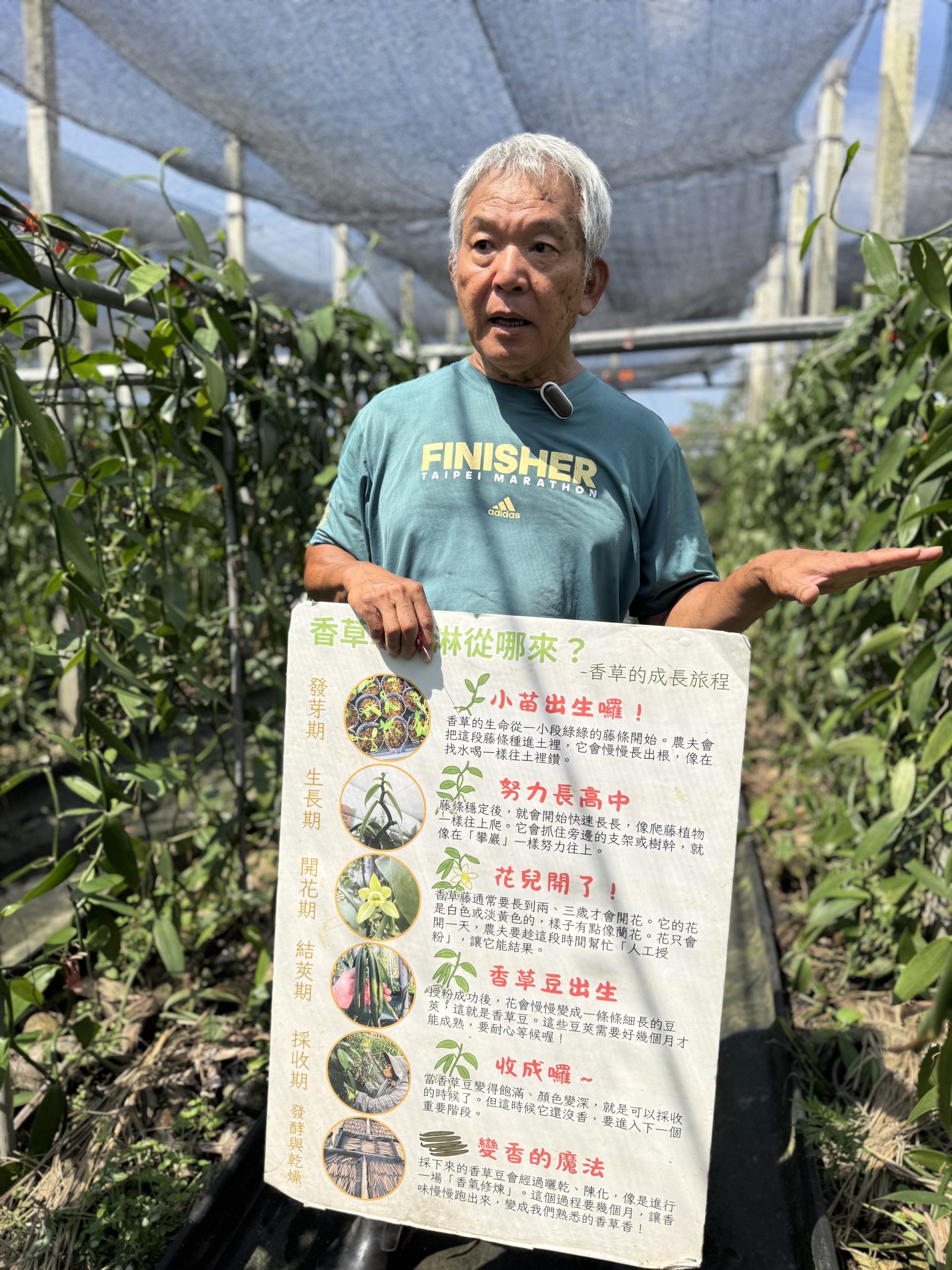 「生的莢沒有香氣，要經過後製才會有。」Tommy 說，後製流程是整個種植環節中最講究技術的部分，也最考驗耐心。