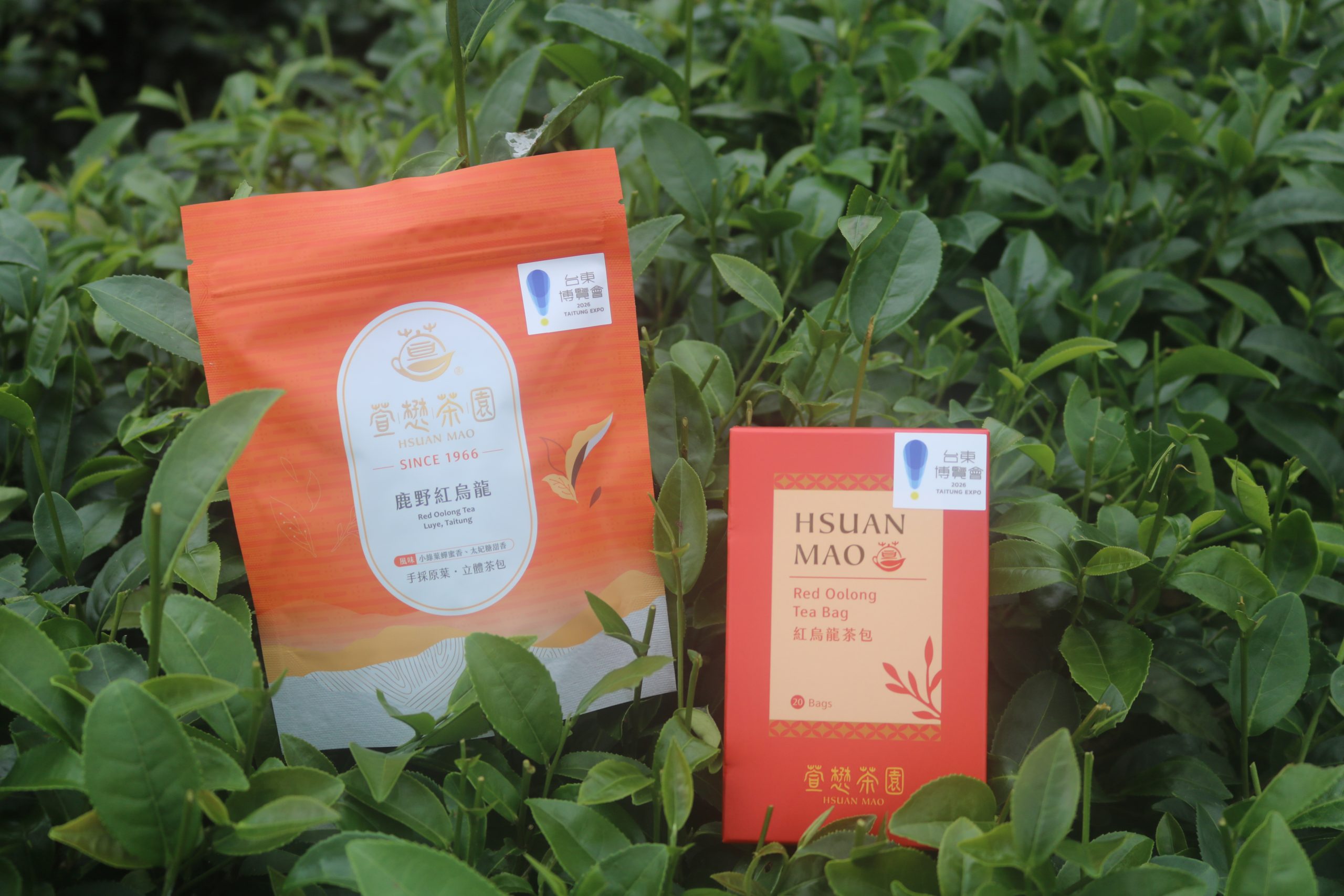 萱懋茶園的兩款明星商品！
